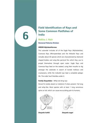 Field Identification of Common Rays