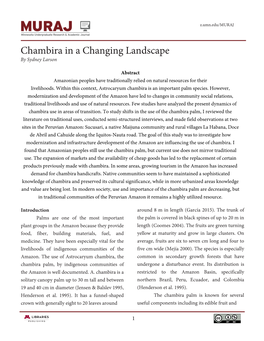 Chambira in a Changing Landscape by Sydney Larson