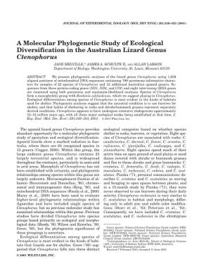 A Molecular Phylogenetic Study of Ecological Diversification in the Australian Lizard Genus Ctenophorus
