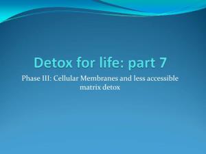 Detox for Life: Part 7