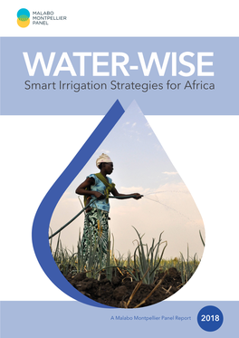 Water-Wise: Smart Irrigation Strategies for Africa, Dakar