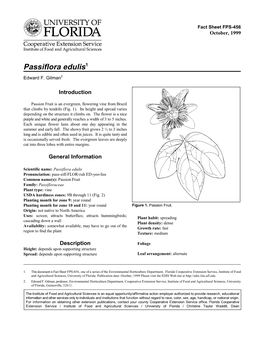 Passiflora Edulis1