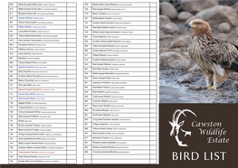 CWE Bird List