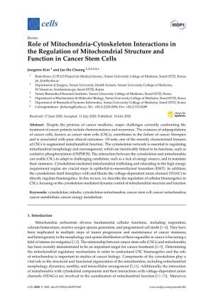 Role of Mitochondria-Cytoskeleton Interactions in the Regulation of Mitochondrial Structure and Function in Cancer Stem Cells