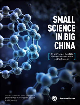 An Overview of the State of Chinese Nanoscience and Technology