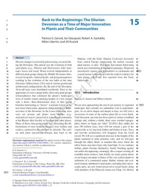 Devonian As a Time of Major Innovation in Plants and Their Communities