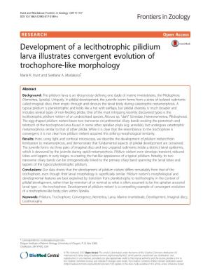 Development of a Lecithotrophic Pilidium Larva Illustrates Convergent Evolution of Trochophore-Like Morphology Marie K