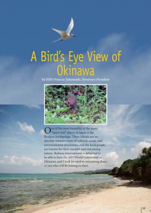 A Bird's Eye View of Okinawa