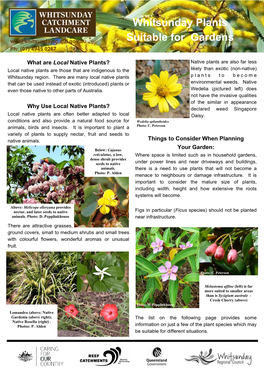 Plants for Whitsunday Gardens