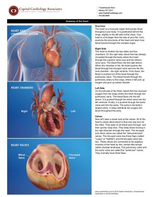 Heart and Circulatory System Heart Chambers