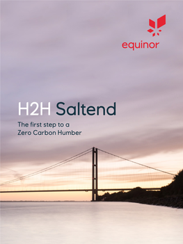 H2H Saltend Brochure PDF 7 MB