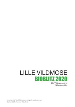 BIOBLITZ 2020 Lille Vildmosecentret Mellemområdet
