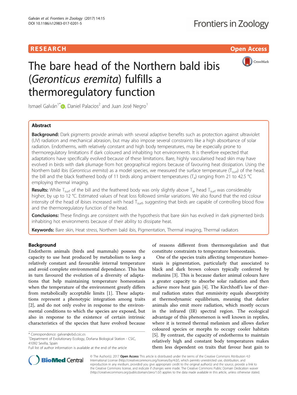 The Bare Head of the Northern Bald Ibis (Geronticus Eremita) Fulfills a Thermoregulatory Function Ismael Galván1* , Daniel Palacios2 and Juan José Negro1