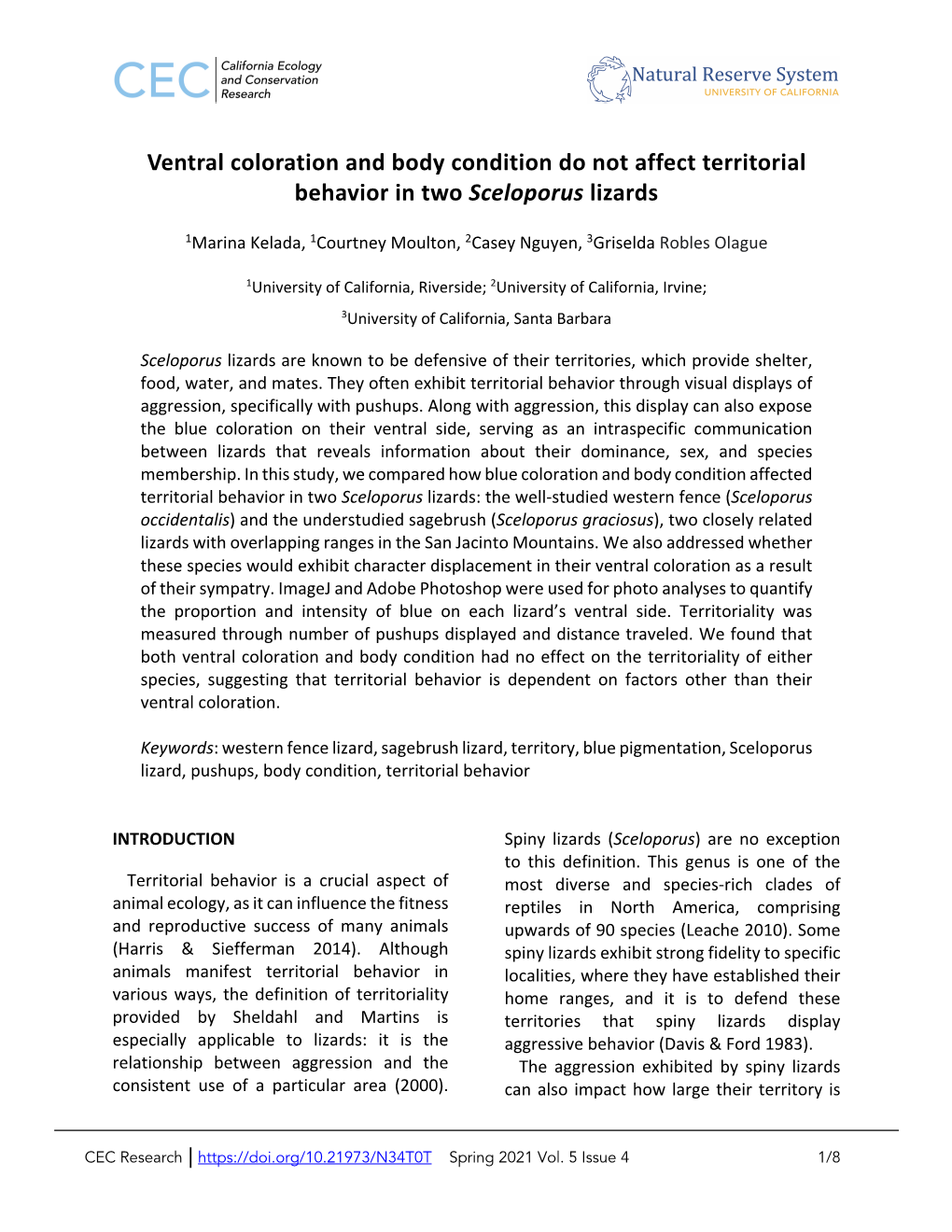 Ventral Coloration and Body Condition Do Not Affect Territorial Behavior in Two Sceloporus Lizards