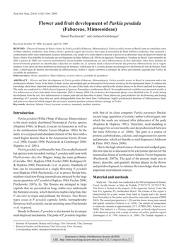 Flower and Fruit Development of Parkia Pendula (Fabaceae, Mimosoideae) Daniel Piechowski1,3 and Gerhard Gottsberger2