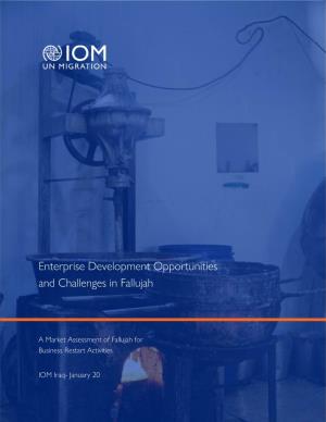 Enterprise Development Opportunities and Challenges in Fallujah