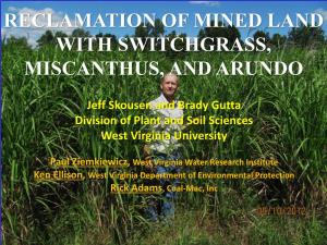 Reclamation of Mined Land with Switchgrass, Miscanthus, and Arundo