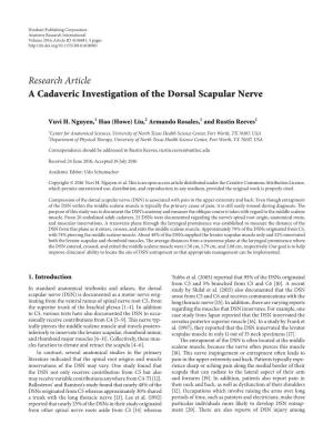 A Cadaveric Investigation of the Dorsal Scapular Nerve