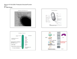 Parsek Micro410 Lecture