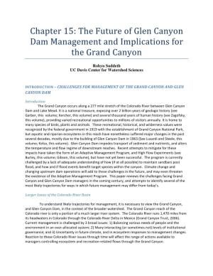 The Future of Glen Canyon Dam Management and Implications for the Grand Canyon