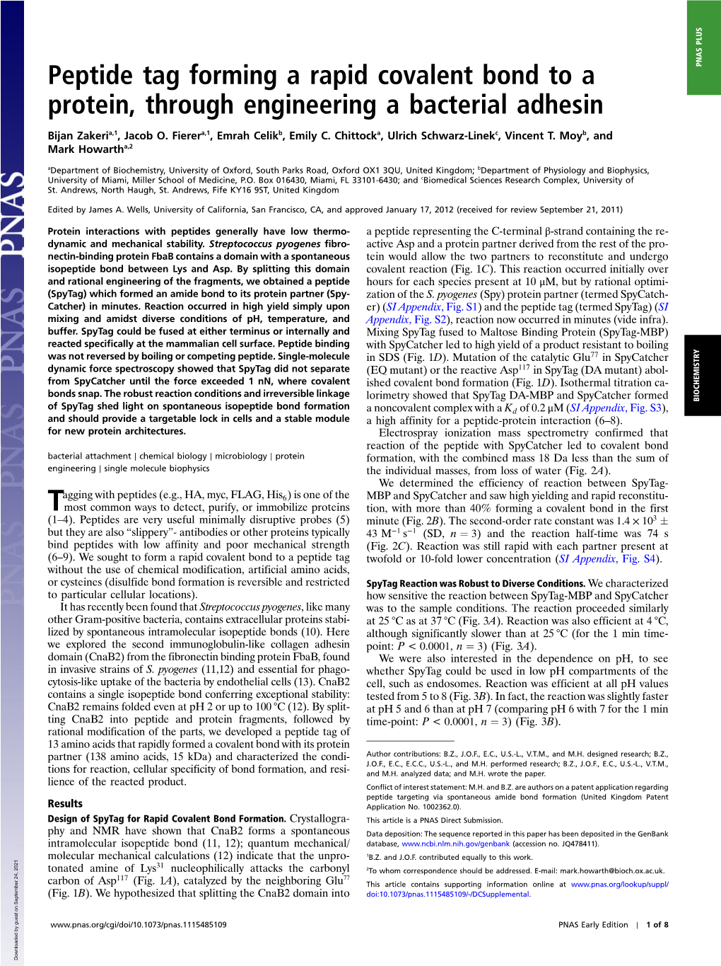 Peptide Tag Forming a Rapid Covalent Bond to a Protein, Through