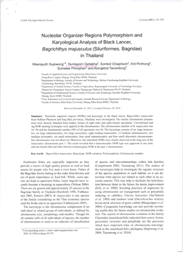 Nucleolar Organizer Regions Polymorphism and Karyological Analysis of Black Lancer, Bagrichthys Majusculus (Siluriformes, Bagridae) in Thailand