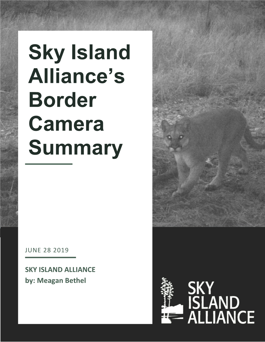 SIA Border Cameras Report