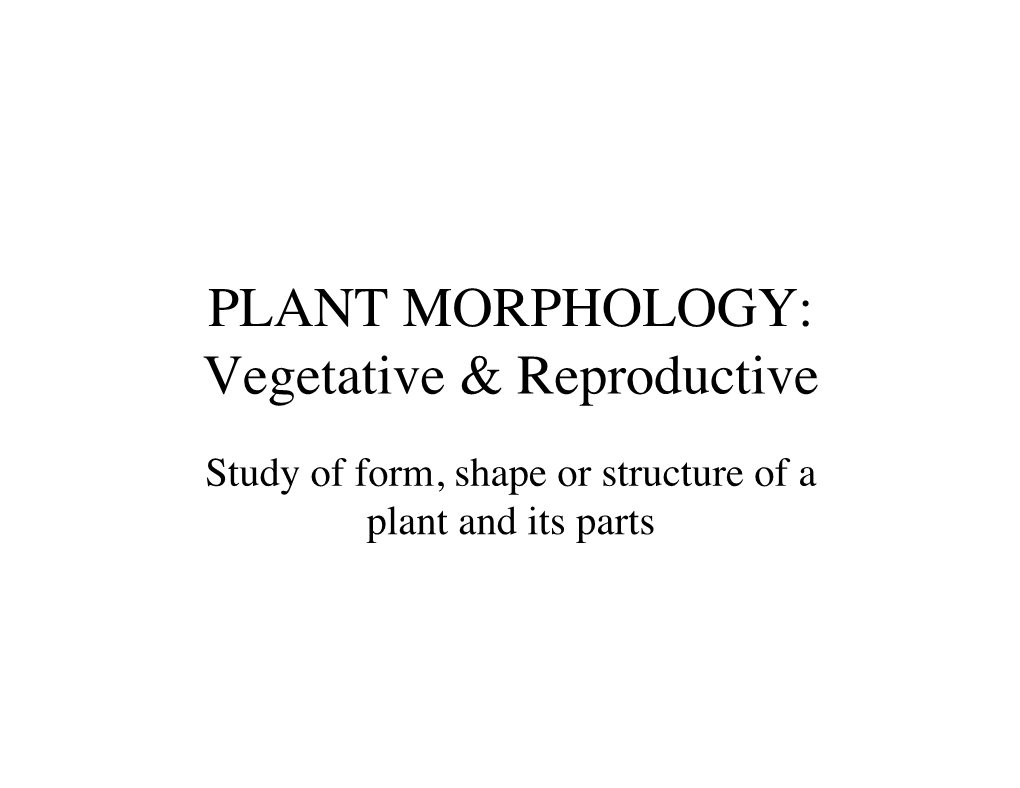 PLANT MORPHOLOGY: Vegetative & Reproductive