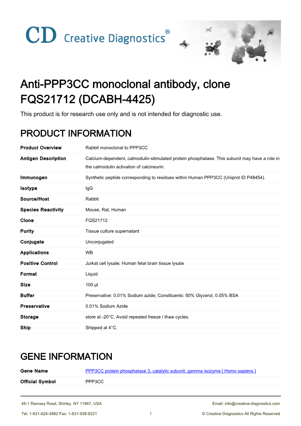 Anti-PPP3CC Monoclonal Antibody, Clone FQS21712 (DCABH-4425) This Product Is for Research Use Only and Is Not Intended for Diagnostic Use