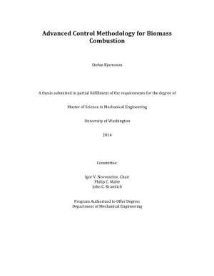 Advanced Control Methodology for Biomass Combustion