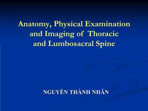 Anatomy, Physical Examination and Imaging of Thoracic and Lumbosacral Spine