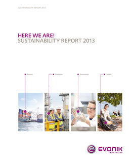 Here We Are! Sustainability Report 2013