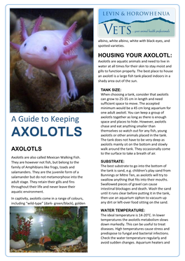 Axolotls Are Aquatic Animals and Need to Live in Water at All Times for Their Skin to Stay Moist and Gills to Function Properly