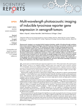 Multi-Wavelength Photoacoustic Imaging of Inducible Tyrosinase Reporter Gene Expression 12