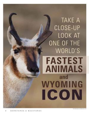FASTEST ANIMALS and WYOMING ICON