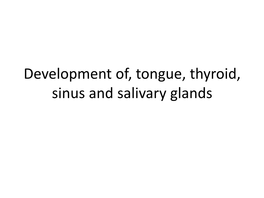 Development Of, Tongue, Thyroid, Sinus and Salivary Glands