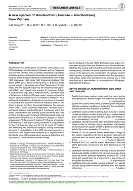 A New Species of &lt;I&gt;Anadendrum&lt;/I&gt; (&lt;I&gt;Araceae&lt;/I