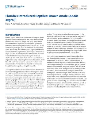 Florida's Introduced Reptiles: Brown Anole (Anolis Sagrei)1