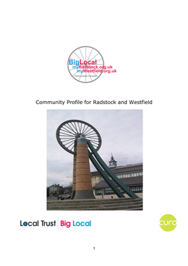 Community Profile for Radstock and Westfield