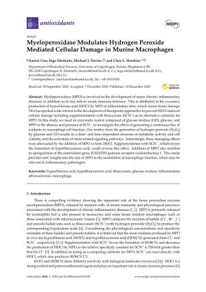 Myeloperoxidase Modulates Hydrogen Peroxide Mediated Cellular Damage in Murine Macrophages