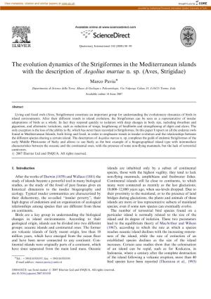 The Evolution Dynamics of the Strigiformes in the Mediterranean Islands with the Description of Aegolius Martae N. Sp
