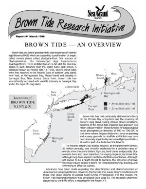 Brown Tidetide —— Anan Overviewoverview