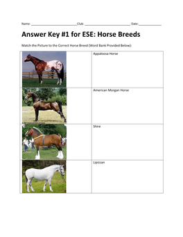 Answer Key #1 for ESE: Horse Breeds