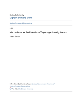 Mechanisms for the Evolution of Superorganismality in Ants