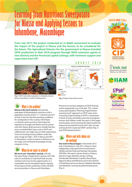 Learning from Nutritious Sweetpotato for Niassa and Applying Lessons to Inhambane, Mozambique
