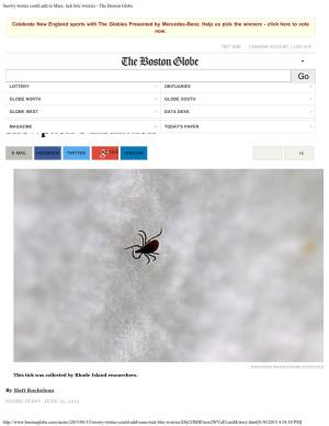 Snowy Winter Could Add to Mass. Tick Bite Worries - the Boston Globe
