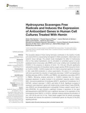 Hydroxyurea Scavenges Free Radicals and Induces the Expression of Antioxidant Genes in Human Cell Cultures Treated with Hemin