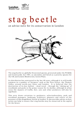 Stag Beetle an Advice Note for Its Conservation in London