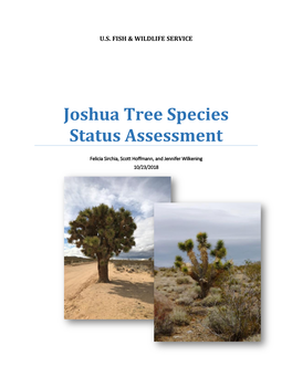 Joshua Tree Species Status Assessment