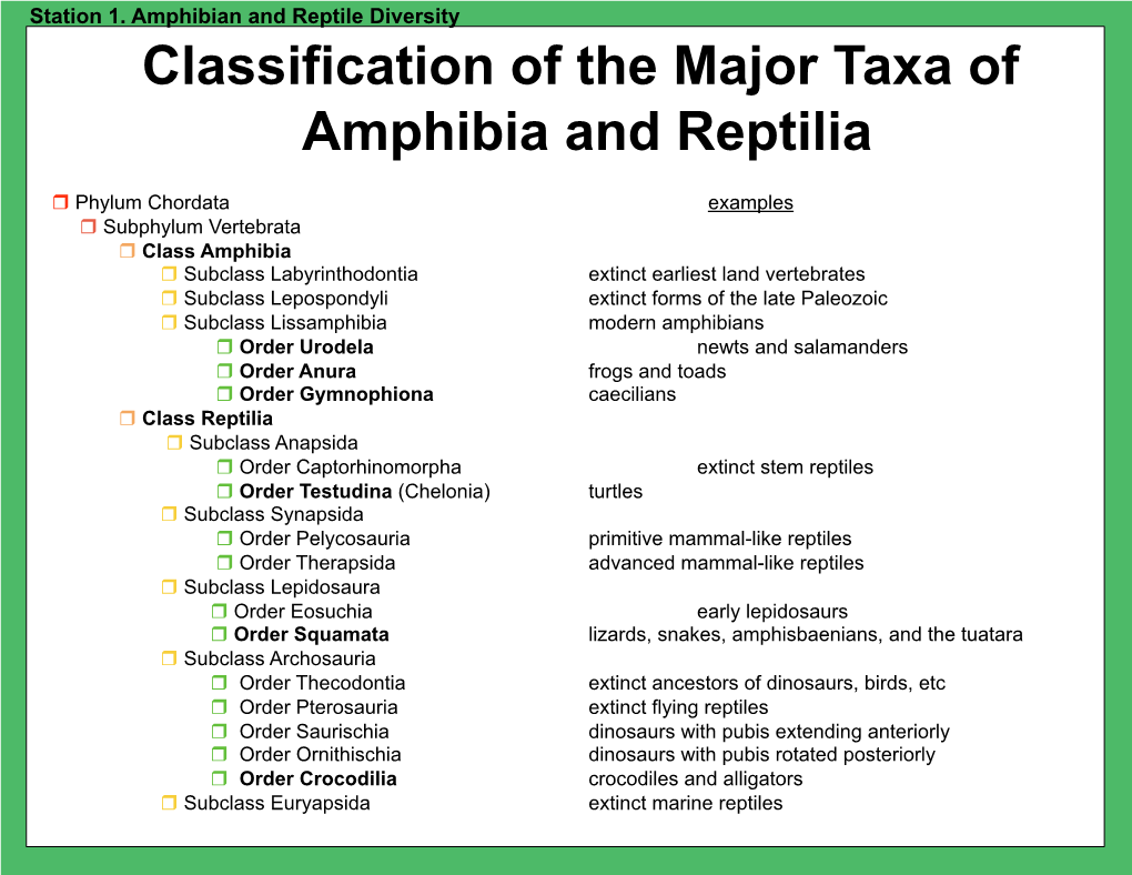 Classification of the Major Taxa of Amphibia and Reptilia